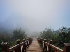 -大岭沟猕猴桃谷风景区