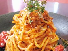 -百好乐宠物友好餐厅(朝外大街店)