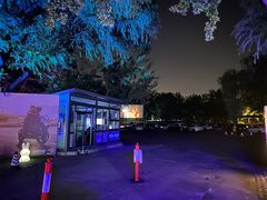 -枫花园汽车电影院(朝阳公园店)