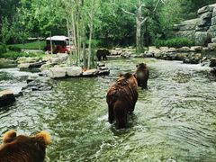 -北京野生动物园