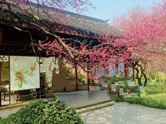 -杭州植物园