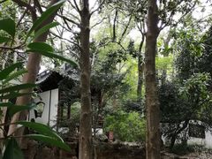 -汇龙潭