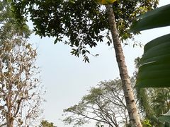 -中国科学院西双版纳热带植物园