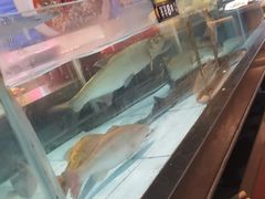 -乡里八闽·福州乡土菜(火车北站店)