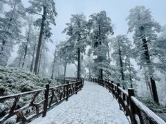 -瓦屋山景区