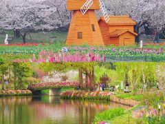 -北京上方山国家森林公园
