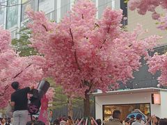 -东莞松山湖万象汇