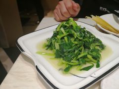 清炒鸡毛菜-19号私房菜(云南路店)