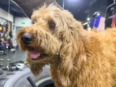 -天行健身＆天行拳馆跆拳道·格斗TXGYM