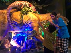 -恐龙探索乐园(磁器口店)