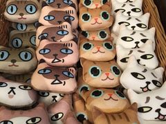 -猫咪博物馆(顶澳仔猫街店)