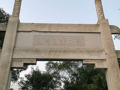-紫金山山顶公园