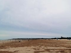 -日照海滨国家森林公园