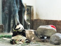 -宁波野生动物园