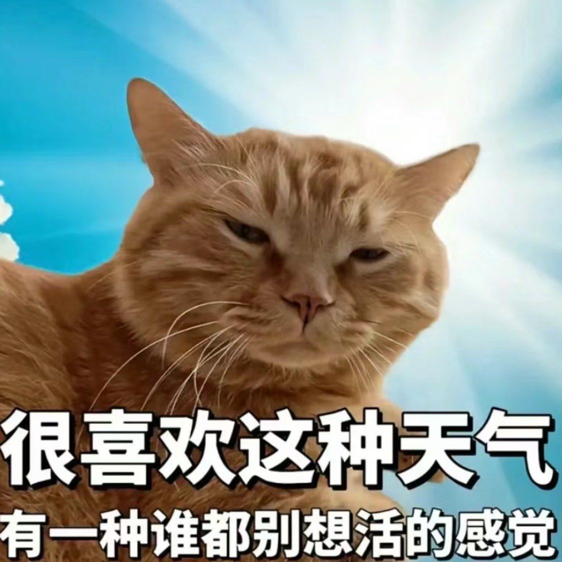 最适合交友和相亲,因为站一块儿就熟了#幽默笑话 #专治不开心搞笑视频