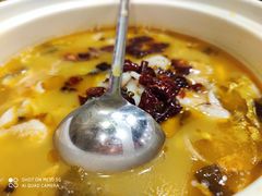 -蜀腾川·火锅鱼.烤鱼(新世界城店)