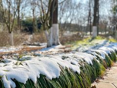-镇江市南山风景名胜区竹林景区