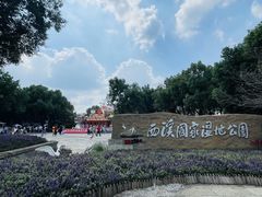 -西溪国家湿地公园