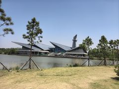 -盐城丹顶鹤湿地生态旅游区