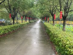 -渌洋湖湿地公园