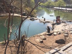 景点-云台山风景名胜区