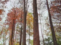 -晓港公园