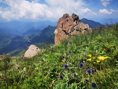 -白草畔自然风景区
