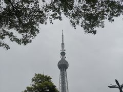-文华公园(禅城区)