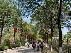 -广东花都湖国家湿地公园