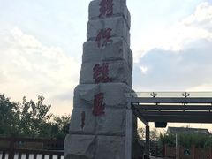 -中国扬子鳄村
