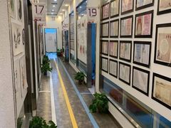 -缤纷鸟美术书法(交大校区)