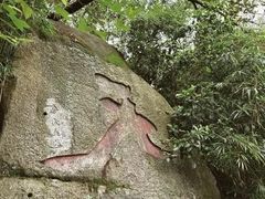 -天鹿湖森林公园