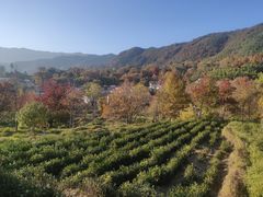 -塔川景区