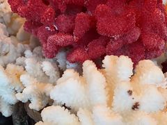 -新天世纪中餐厅