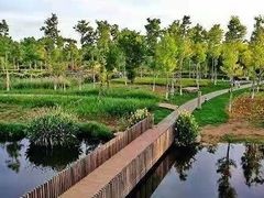 -呈贡滇池生态湿地公园