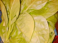 -签签汇·成都串串火锅(北郊店)