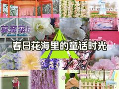 -盈香心动乐园