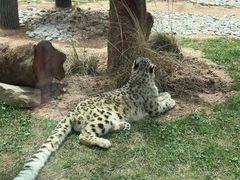 -青藏高原野生动物园