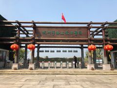 -杭州湾海上花田景区