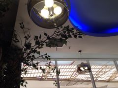 -米斯特比萨(罗斯福店)