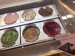 -哈根达斯(陆家浜路店)