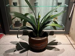 -Apple零售店(青岛万象城店)