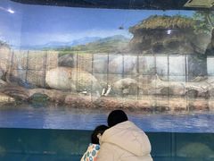 -福州罗源湾海洋世界旅游区