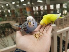 -南宫五洲植物乐园