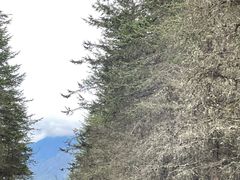 -硗碛藏寨·神木垒景区