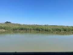 -同里国家湿地公园