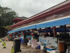 -大湾区中央湿地公园-十九涌