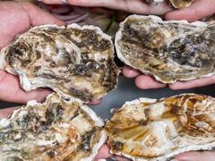 -千岛蚝高压锅生蚝·人参火锅(白云万达店)