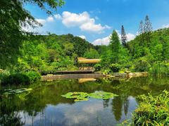 -云溪植物园