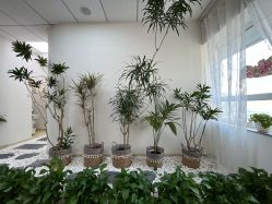 -臻美薈美容养生美甲美睫專門店